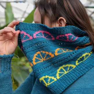 Fruit Slices Accessories