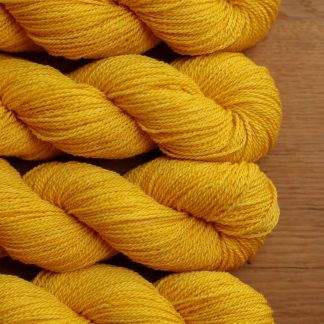 Foss - Albers Yellow